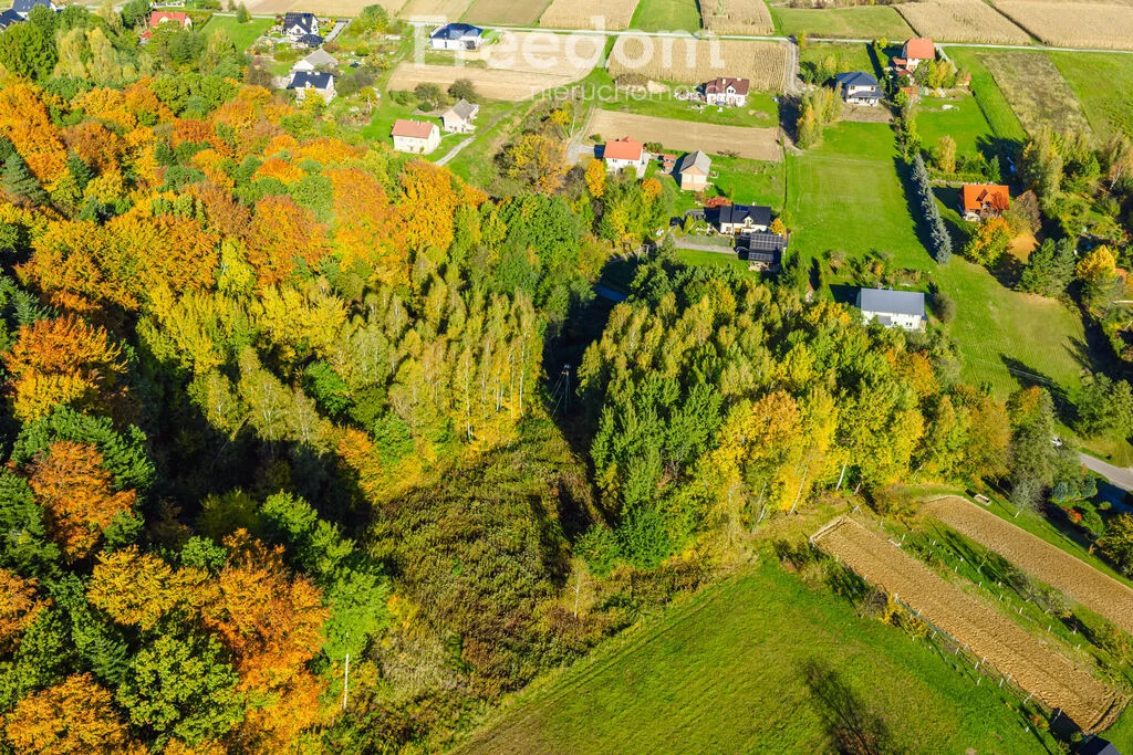 Działka 5 779,00 m², oferta nr , 11502/3685/OGS, Mogielnica
