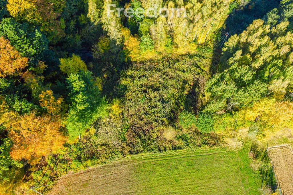 Działka 5 779,00 m², oferta nr , 11502/3685/OGS, Mogielnica