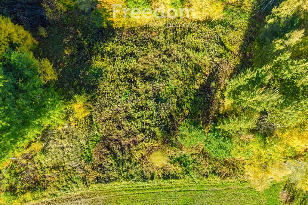 Działka 5 779,00 m², oferta nr , 11502/3685/OGS, Mogielnica