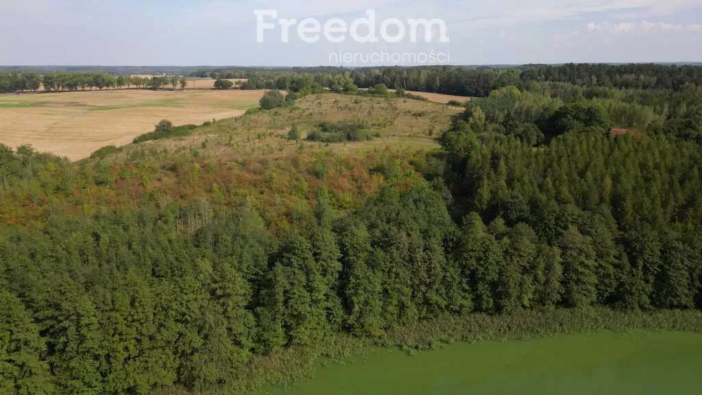 Działka 11 571,00 m², oferta nr , 8975/3685/OGS, Mokiny