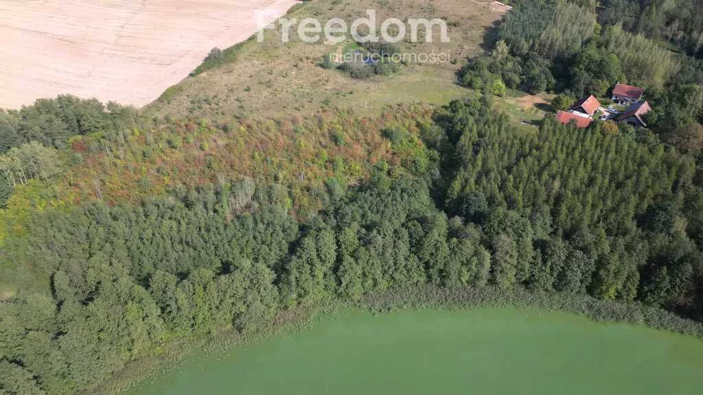 Działka 11 571,00 m², oferta nr , 8975/3685/OGS, Mokiny