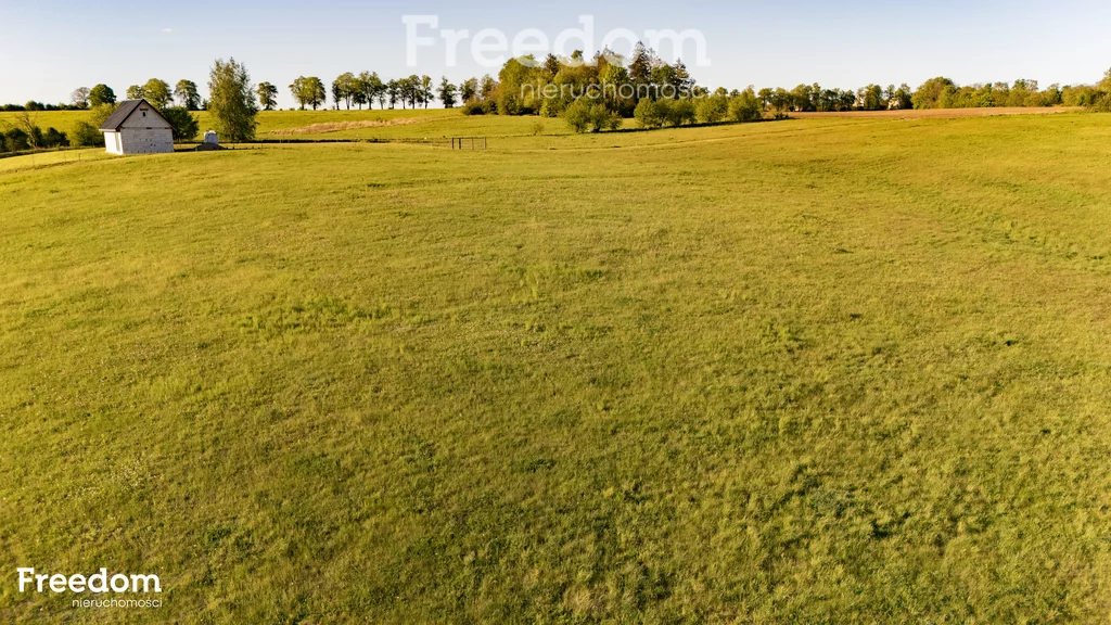 10529/3685/OGS - zdjęcie nr 3