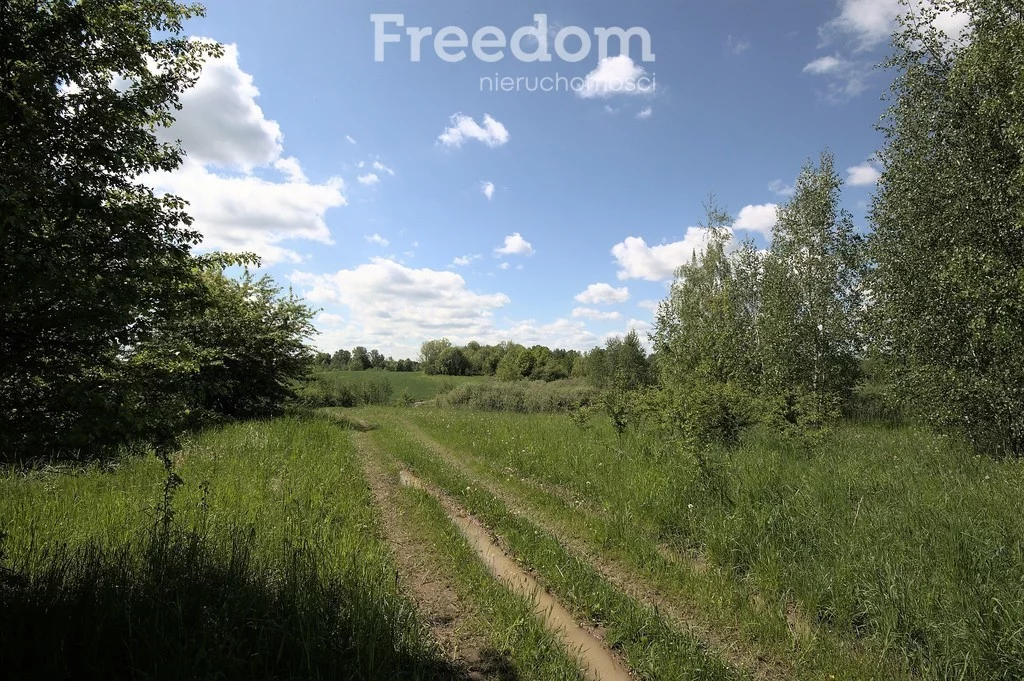 Działka 44 066,00 m², oferta nr , 6814/3685/OGS, Mrozy Wielkie