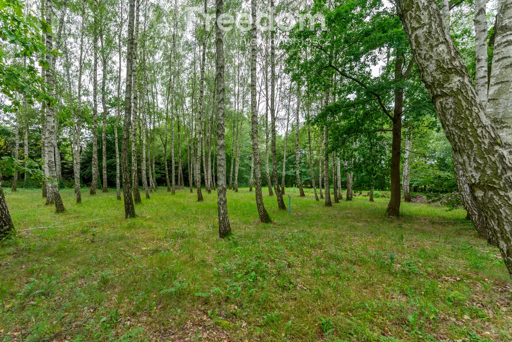 Działka 4 933,00 m², oferta nr , 11022/3685/OGS, Nadarzyn