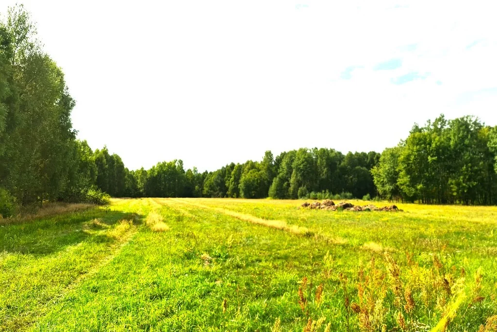 Działka 14 400,00 m², oferta nr , 8960/3685/OGS, Nart