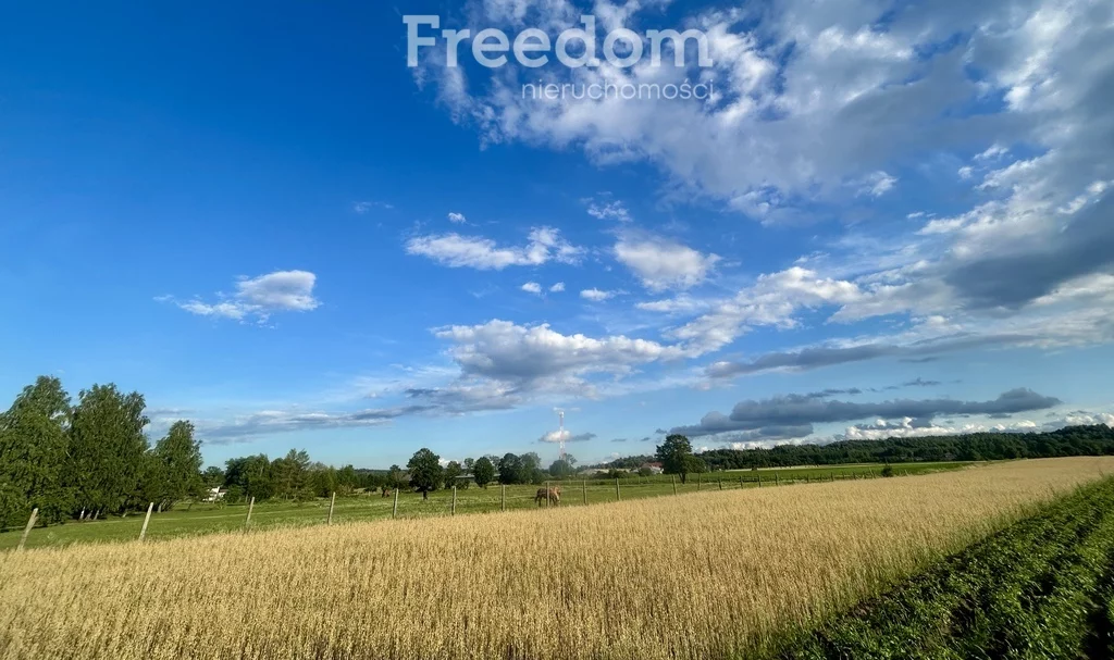 Działka 3 010,00 m², oferta nr , 10118/3685/OGS, Nidzica