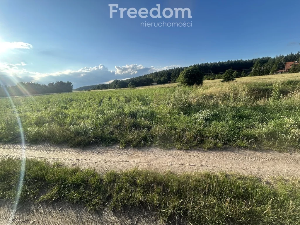 Działka 3 010,00 m², oferta nr , 10116/3685/OGS, Nidzica