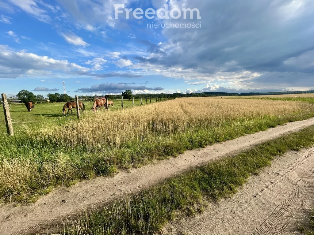 Działka 3 010,00 m², oferta nr , 10116/3685/OGS, Nidzica