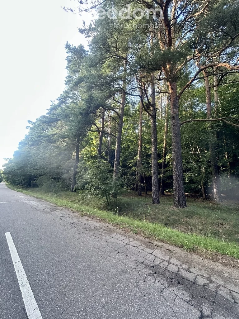 Działka 3 010,00 m², oferta nr , 10116/3685/OGS, Nidzica