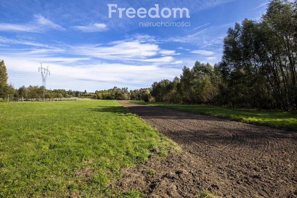 Działka 6 000,00 m², oferta nr , 11184/3685/OGS, Niechobrz