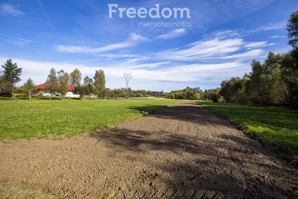 Działka 6 000,00 m², oferta nr , 11184/3685/OGS, Niechobrz