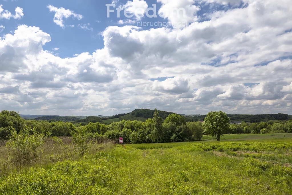 10574/3685/OGS - zdjęcie nr 3