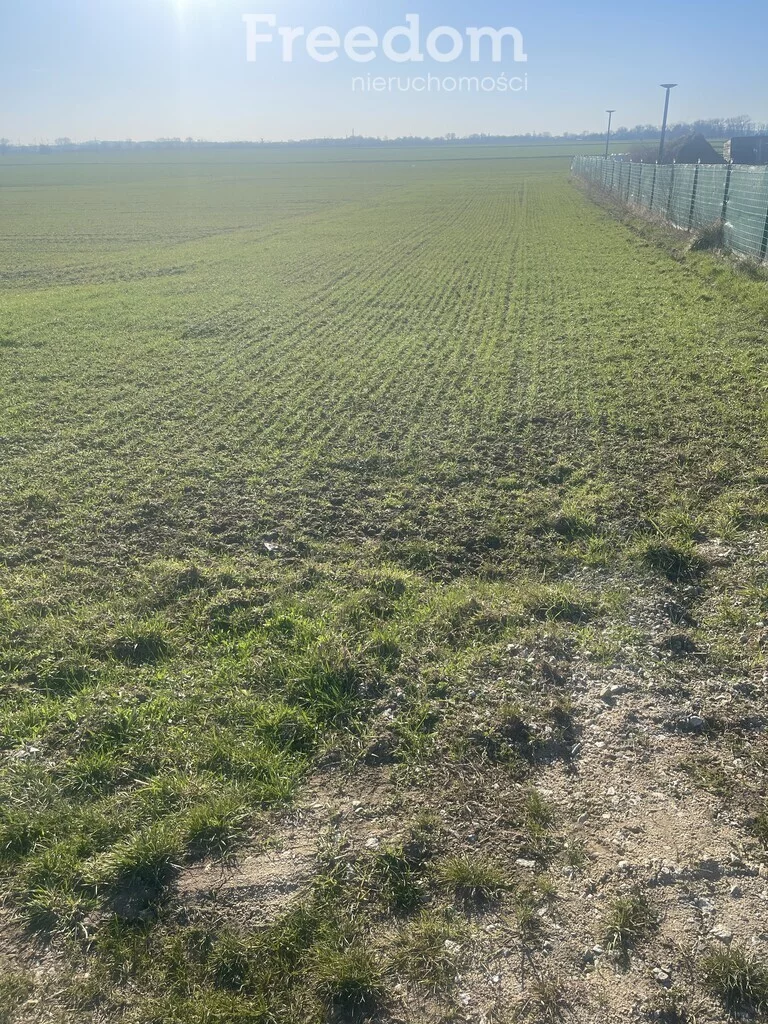 Działka 1 100,00 m², oferta nr , 10234/3685/OGS, Niedźwiedzice