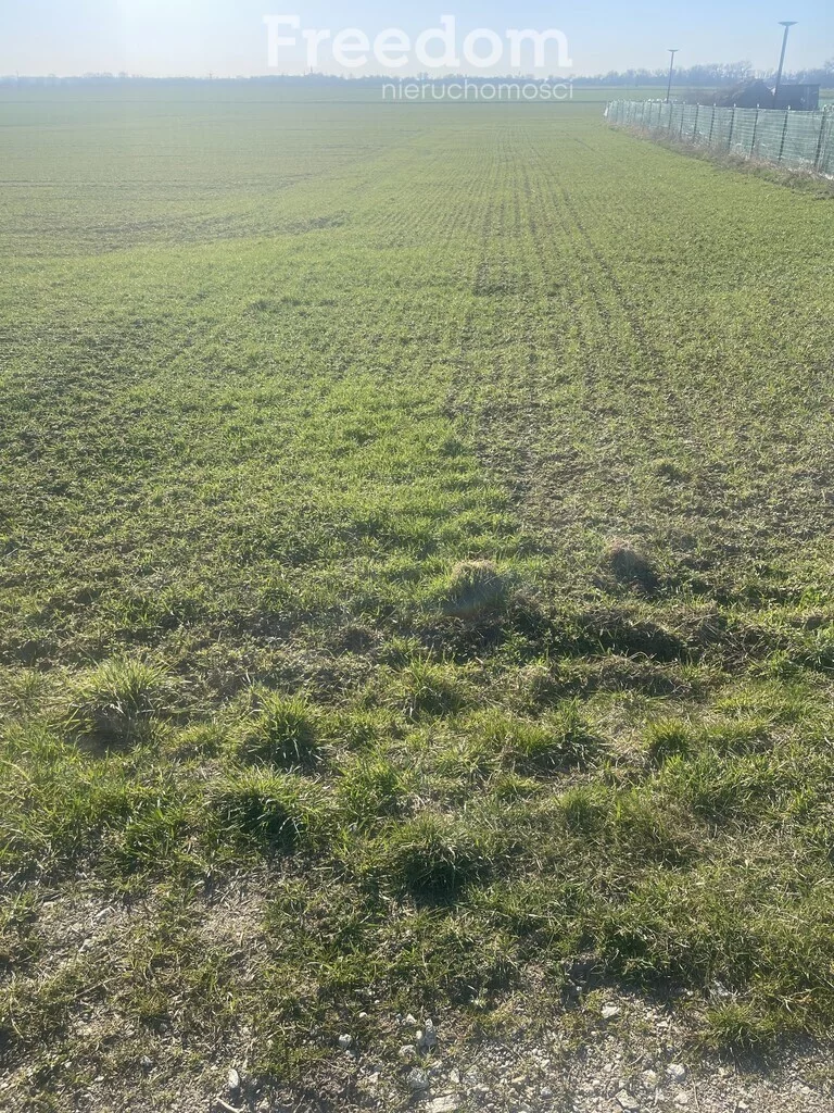 Działka 1 440,00 m², oferta nr , 10245/3685/OGS, Niedźwiedzice