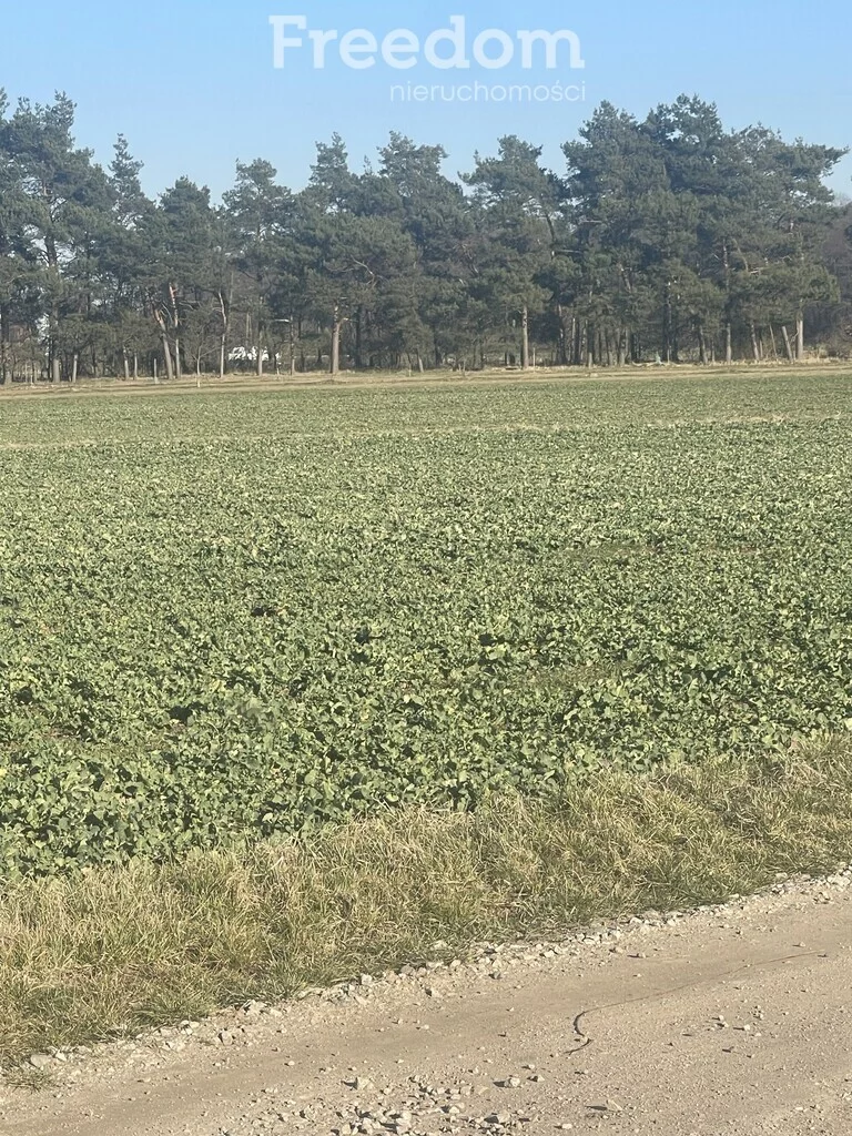 Działka 1 440,00 m², oferta nr , 10245/3685/OGS, Niedźwiedzice