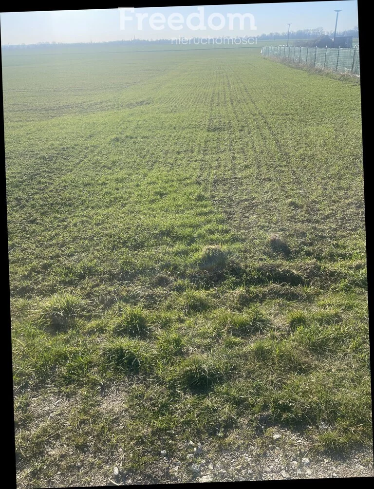 Działka 1 440,00 m², oferta nr , 10245/3685/OGS, Niedźwiedzice