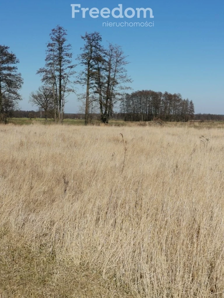 Działka 2 500,00 m², oferta nr , 10716/3685/OGS, Niedźwiedzice
