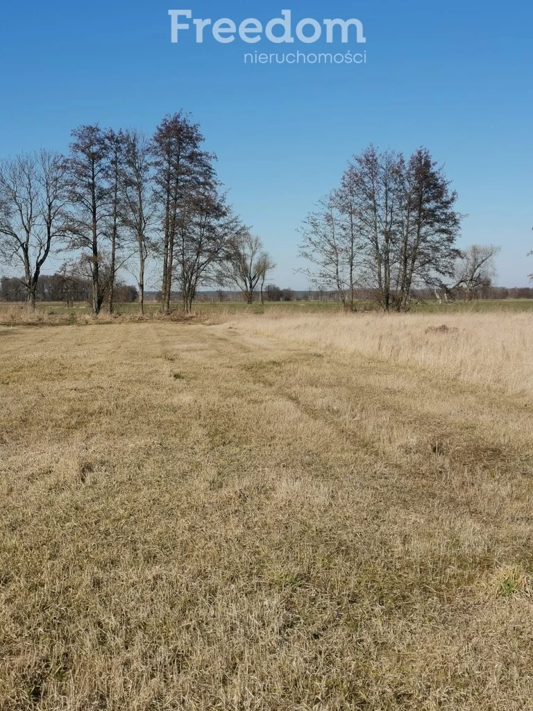 Działka 2 500,00 m², oferta nr , 10716/3685/OGS, Niedźwiedzice
