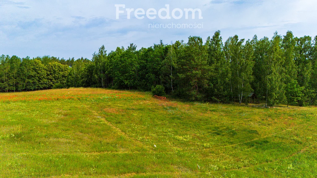 Działka 1 302,00 m², oferta nr , 10794/3685/OGS, Rydzewo, Niegocińska