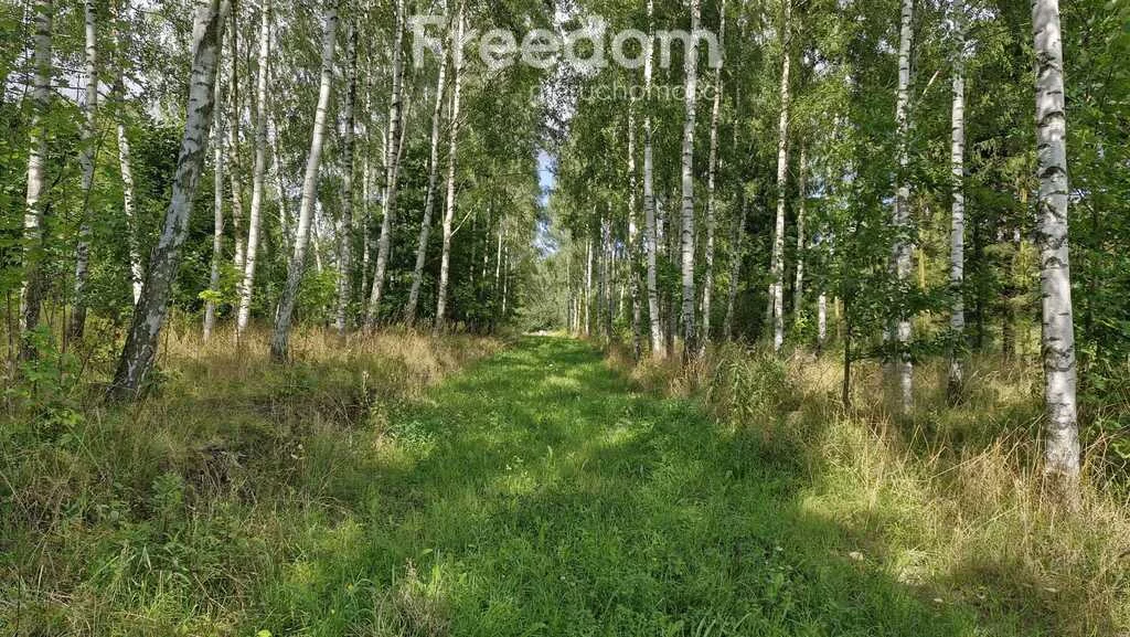 Apartamenty 11347/3685/OGS Rydzewo Niegocińska
