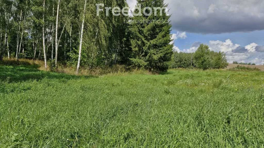Działka 3 957,00 m², oferta nr , 11347/3685/OGS, Rydzewo, Niegocińska