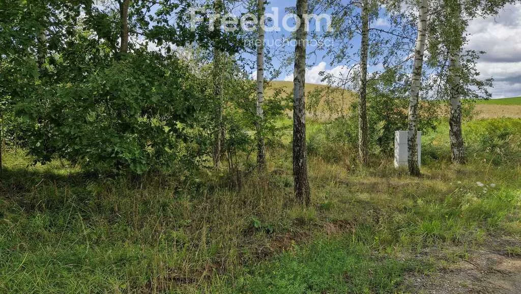 Działka 3 957,00 m², oferta nr , 11347/3685/OGS, Rydzewo, Niegocińska