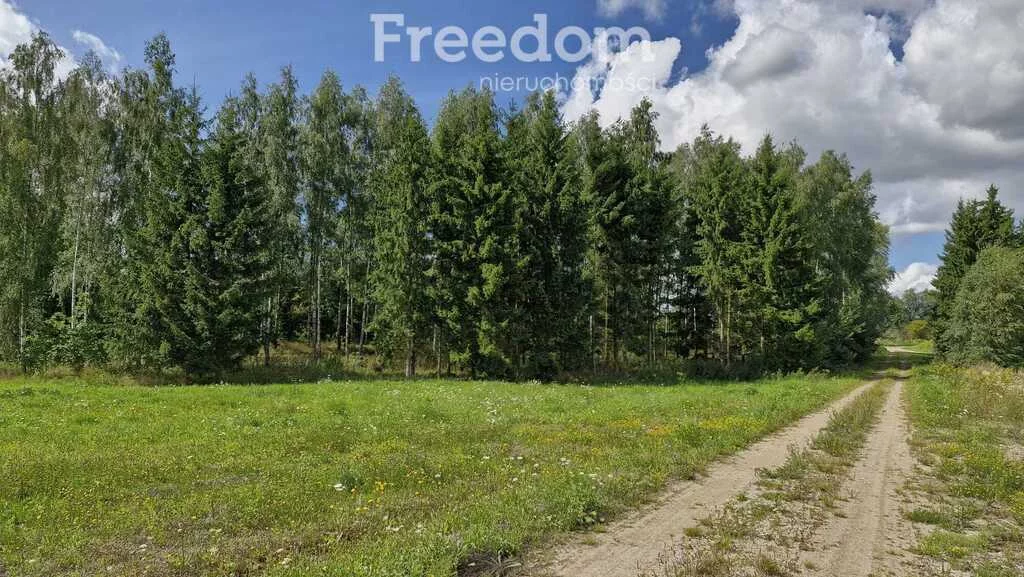 Działka 3 957,00 m², oferta nr , 11347/3685/OGS, Rydzewo, Niegocińska