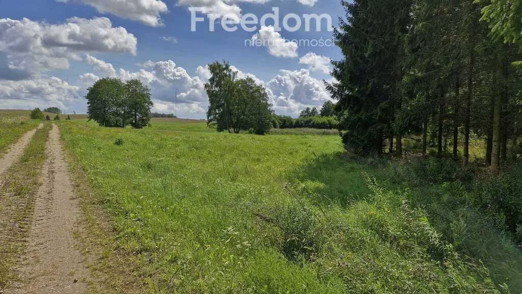 Działka 3 957,00 m², oferta nr , 11347/3685/OGS, Rydzewo, Niegocińska