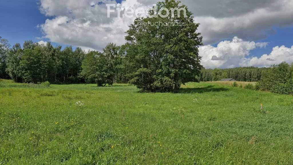 Apartamenty 11348/3685/OGS Rydzewo Niegocińska