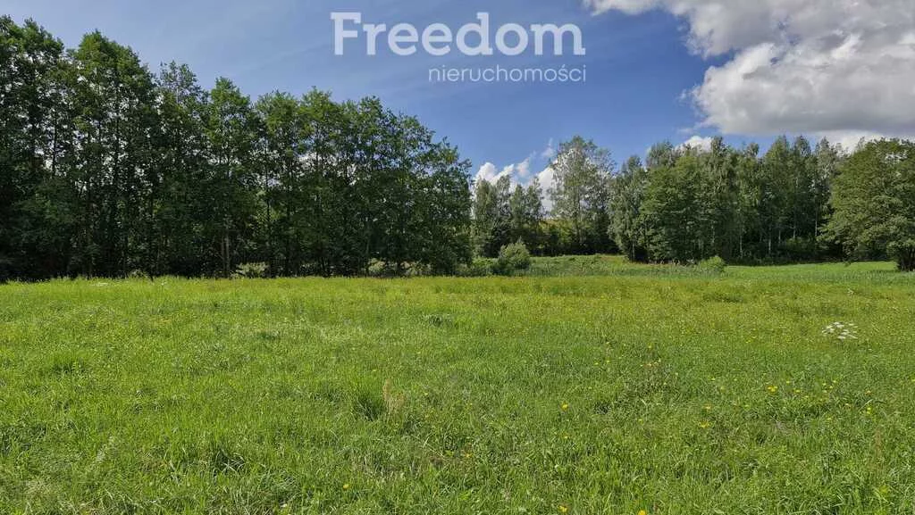 Działka 3 769,00 m², oferta nr , 11348/3685/OGS, Rydzewo, Niegocińska