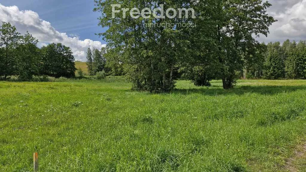 Działka 3 769,00 m², oferta nr , 11348/3685/OGS, Rydzewo, Niegocińska