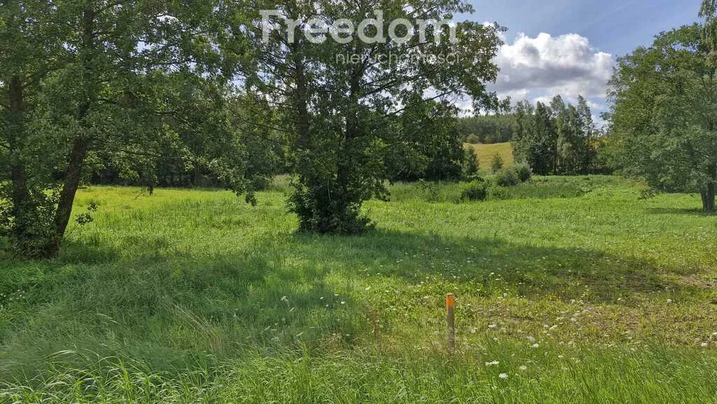 Działka 3 769,00 m², oferta nr , 11348/3685/OGS, Rydzewo, Niegocińska