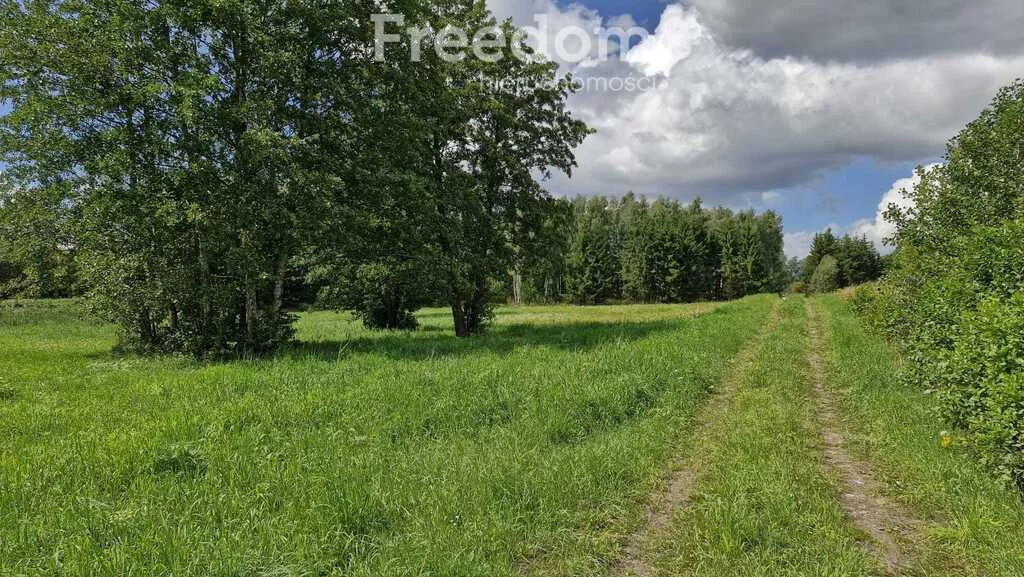 Działka 3 769,00 m², oferta nr , 11348/3685/OGS, Rydzewo, Niegocińska