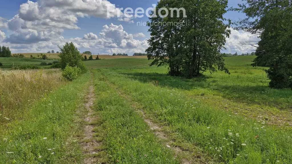 Działka 3 769,00 m², oferta nr , 11348/3685/OGS, Rydzewo, Niegocińska