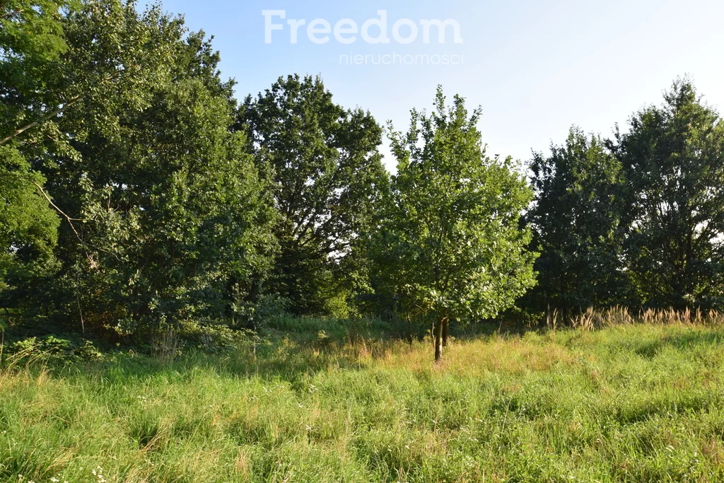 Działka 1 700,00 m², oferta nr , 11023/3685/OGS, Niemodlin