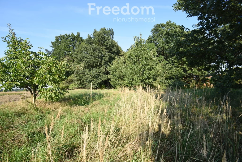 Działka 1 700,00 m², oferta nr , 11023/3685/OGS, Niemodlin