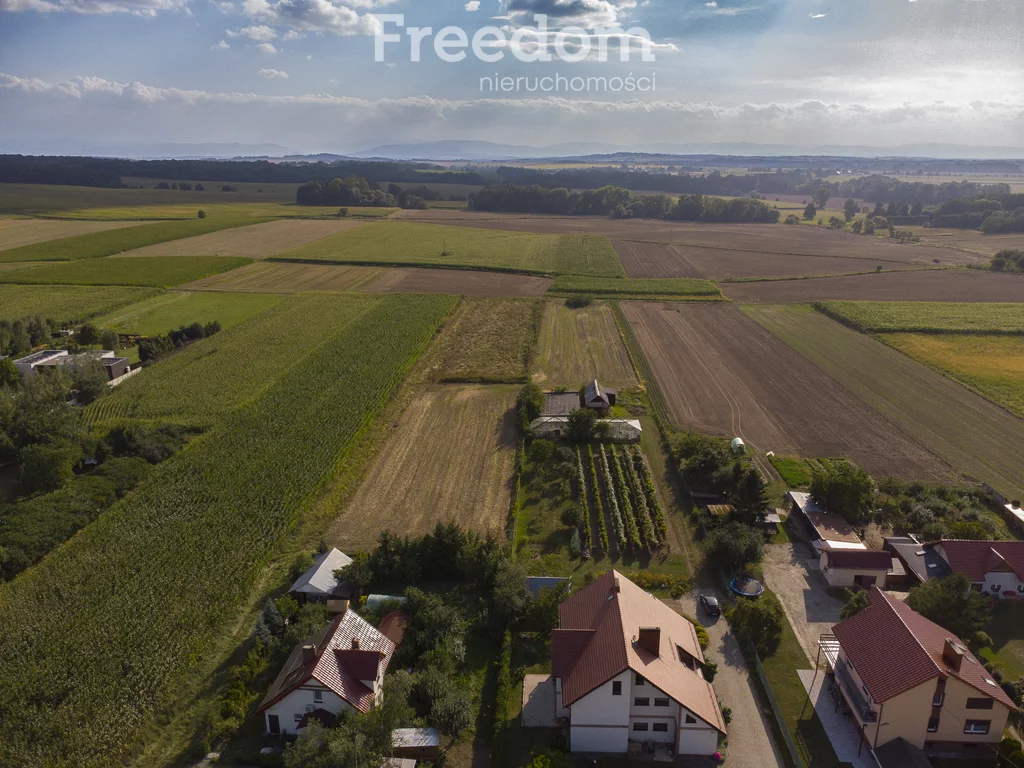Działka 1 100,00 m², oferta nr , 11253/3685/OGS, Niwnica
