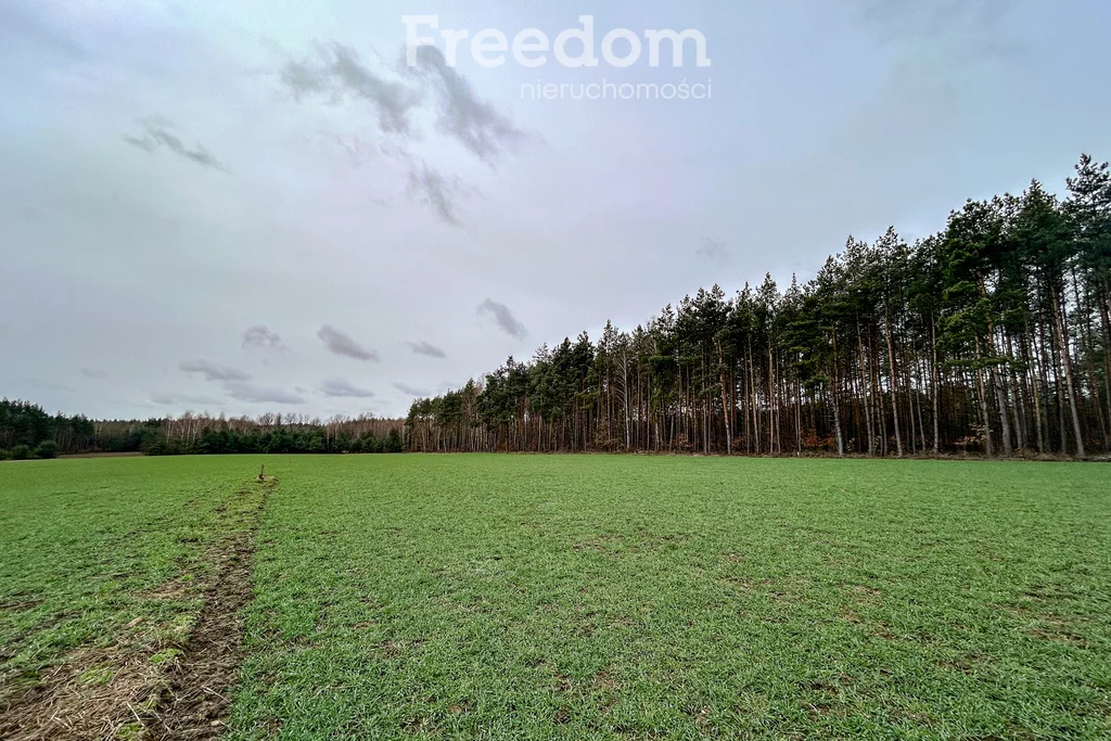 Działka 1 000,00 m², oferta nr , 10193/3685/OGS, Nowe Groszki