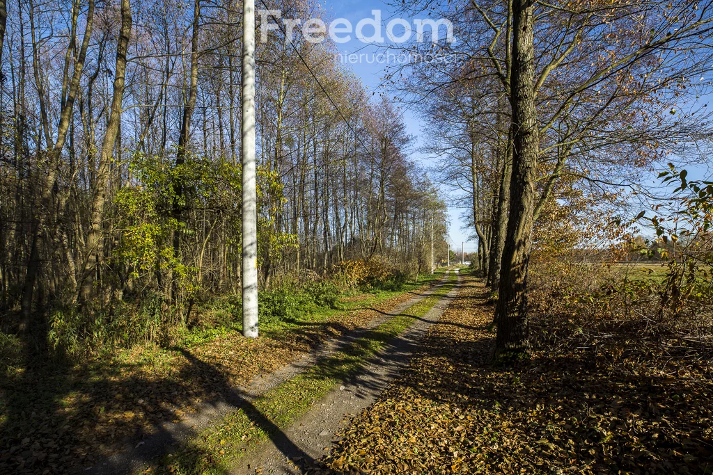 Działka 2 883,00 m², oferta nr , 11406/3685/OGS, Tarnobrzeg, Ocice, Ocicka
