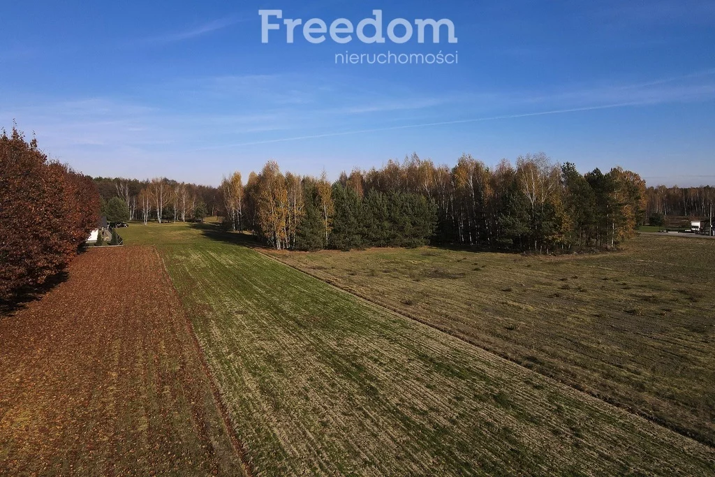 Działka 2 883,00 m², oferta nr , 11406/3685/OGS, Tarnobrzeg, Ocice, Ocicka