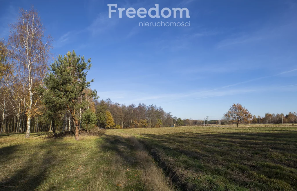 Działka 2 883,00 m², oferta nr , 11406/3685/OGS, Tarnobrzeg, Ocice, Ocicka