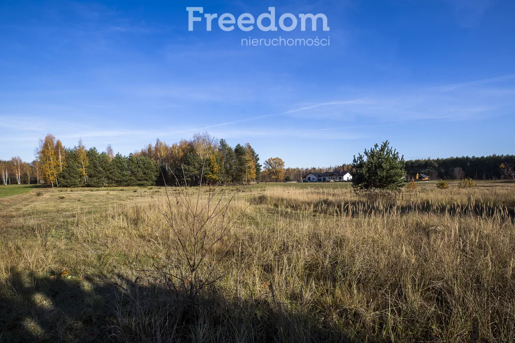 Działka 2 883,00 m², oferta nr , 11406/3685/OGS, Tarnobrzeg, Ocice, Ocicka