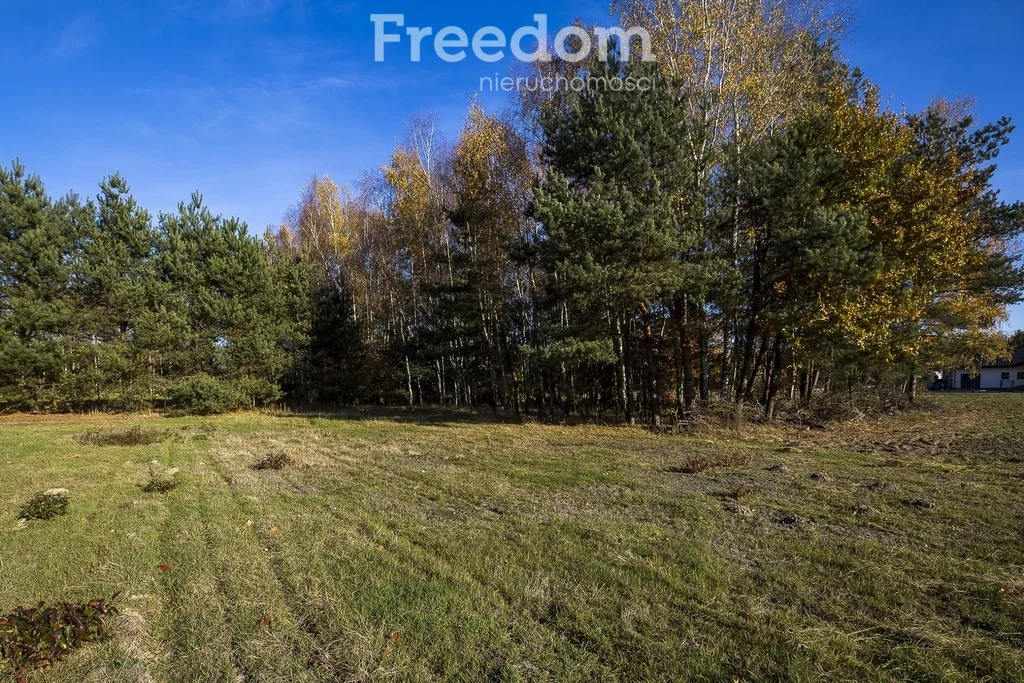 Działka 2 883,00 m², oferta nr , 11406/3685/OGS, Tarnobrzeg, Ocice, Ocicka