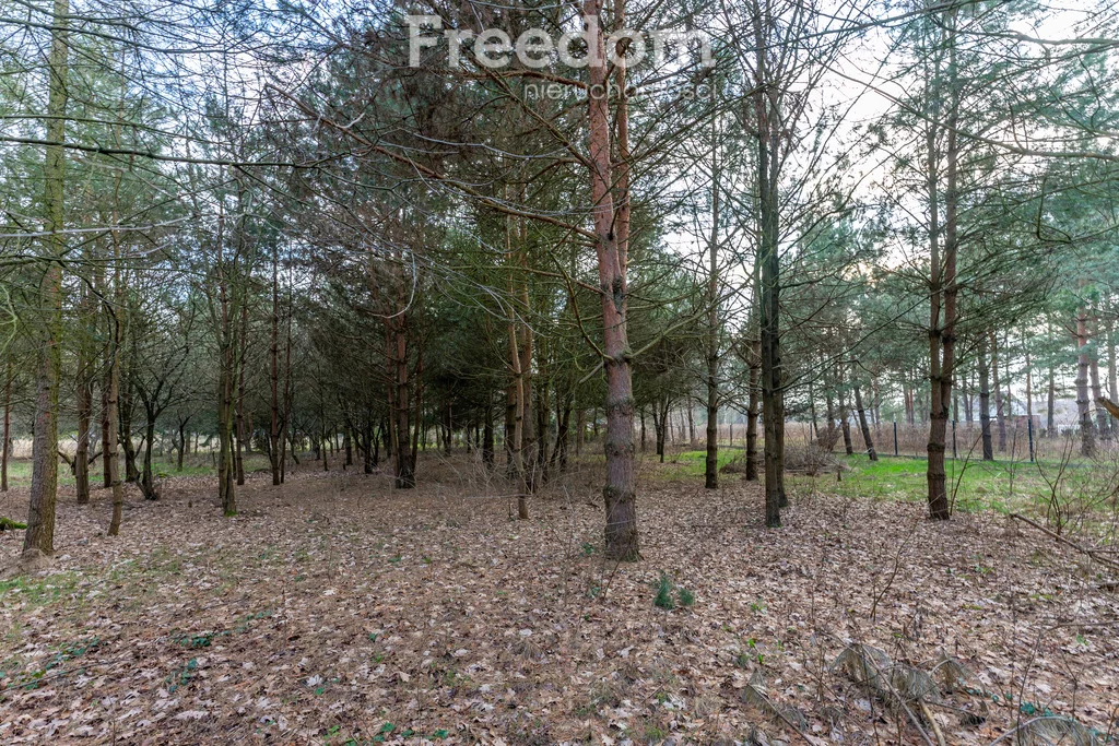 Działka 1 800,00 m², oferta nr , 7427/3685/OGS, Ruda, Ogrodowa