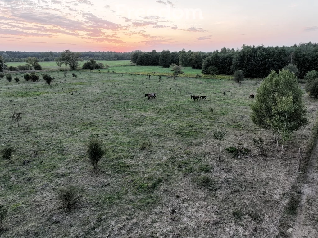 Działka 800,00 m², oferta nr , 8671/3685/OGS, Okuniew