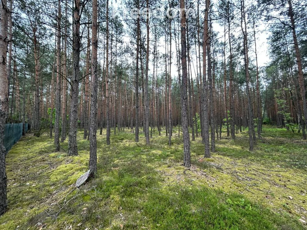 Apartamenty 10732/3685/OGS Ołdakowizna