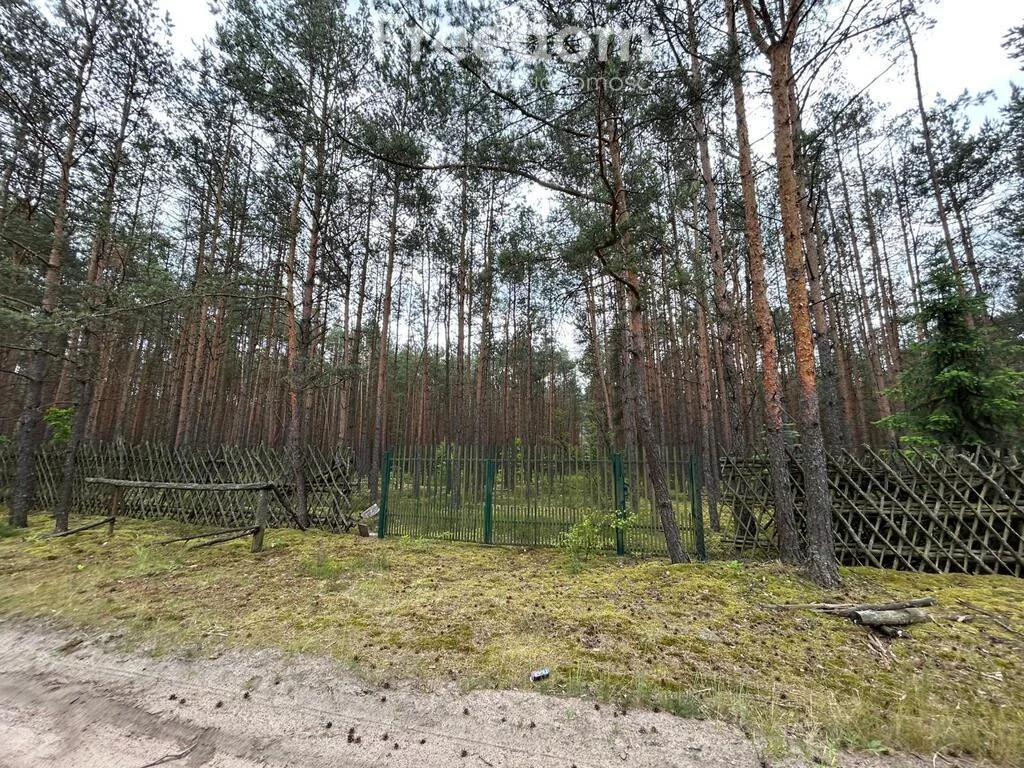 10732/3685/OGS - zdjęcie nr 4