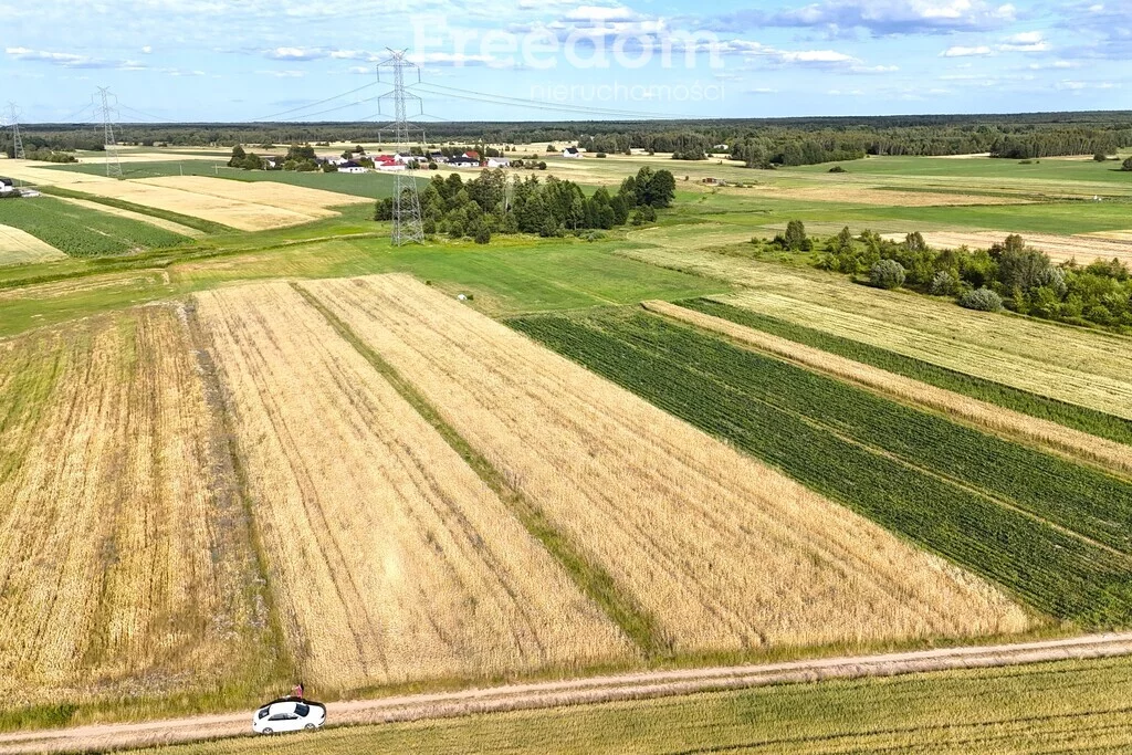 10723/3685/OGS - zdjęcie nr 1