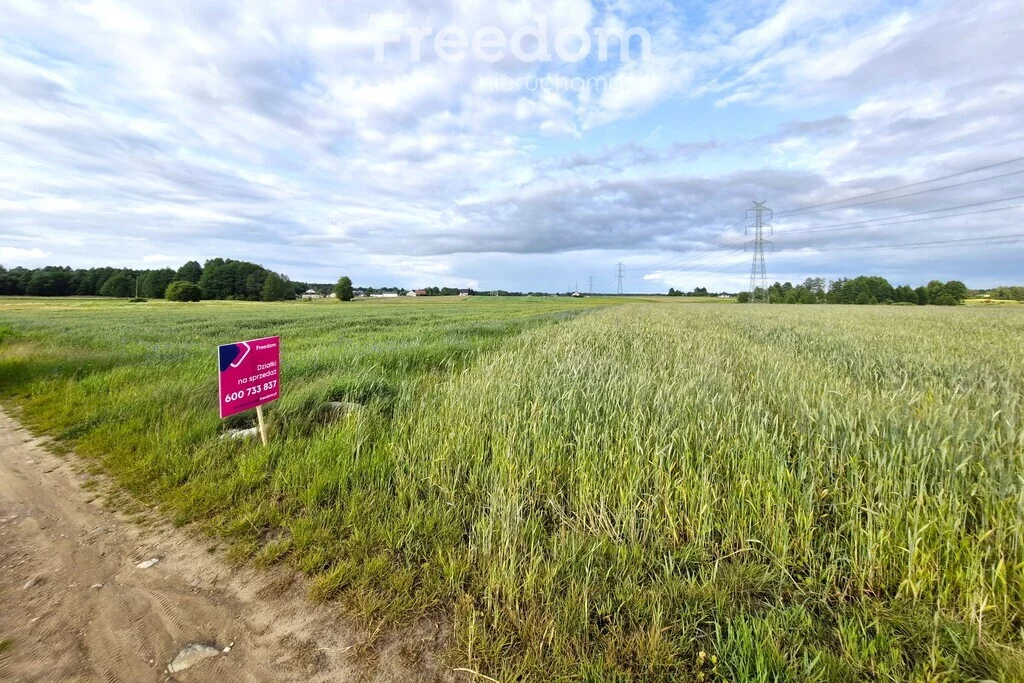 Działka 31 400,00 m², oferta nr , 10723/3685/OGS, Olszyc Szlachecki