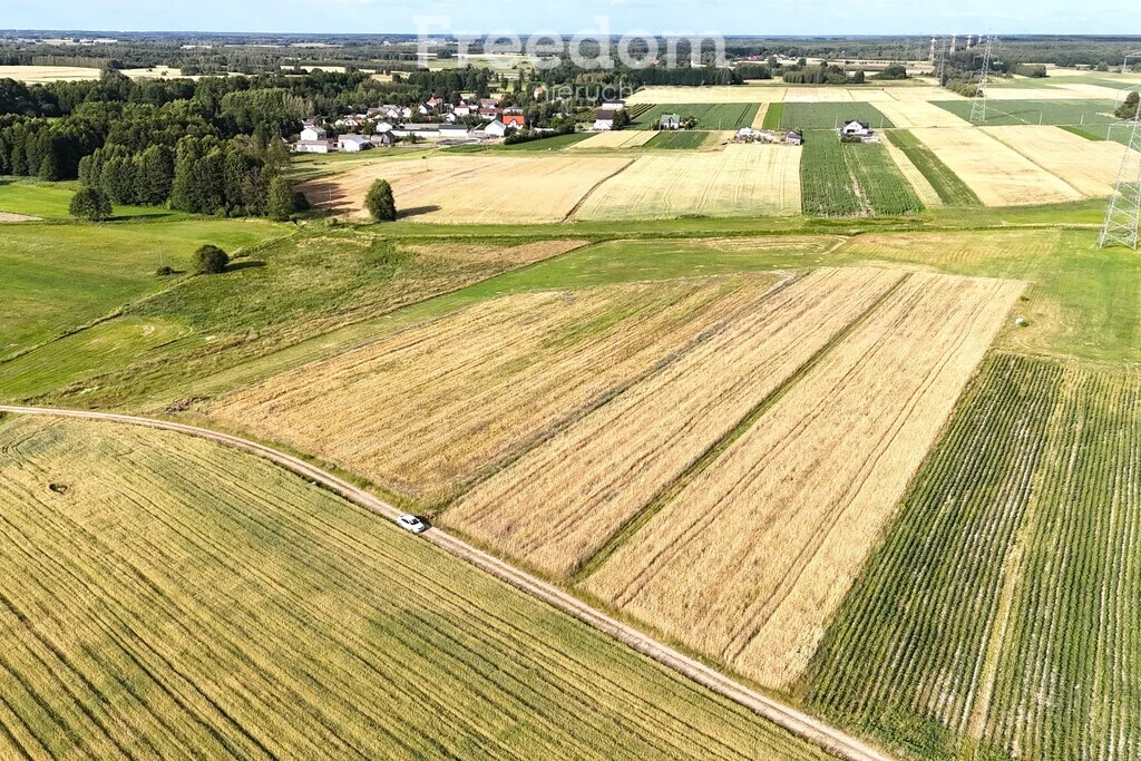 Działka 31 400,00 m², oferta nr , 10723/3685/OGS, Olszyc Szlachecki